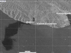 Убивая океан: биолог оценила масштаб трагедии с разливом нефти у Новороссийска