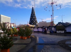 Краснодарская елка приняла участие в рейтинге высочайших елок страны  