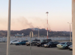  В Сочи рядом с аэропортом загорелся лес 