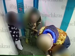В полицию поступило заявление о нападении пса бойцовской породы на малыша в лифте краснодарской многоэтажки