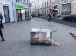  Обнаженная художница из Краснодара закрыла себя в клетке в центре Москвы 