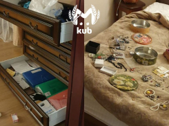 Вынесли деньги и драгоценности: дом преподавателя КубГАУ в Краснодаре обокрали почти на полмиллиона