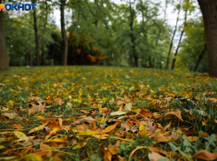 Золотая осень: в Краснодаре потеплеет до +19 градусов