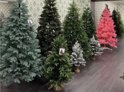 В Краснодаре стоимость искусственных ёлок выросла до 54 тысяч рублей 