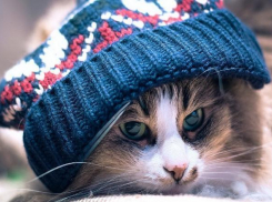 Минусовая температура «захватит» всю Кубань 