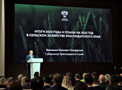 Губернатор Кубани предложил защитить на федеральном уровне земли для выращивания винограда 