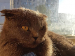 Солнце выглянет в Краснодаре 18 марта