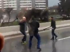 Трое водителей в Сочи устроили Mortal Kombat с пистолетом и битами