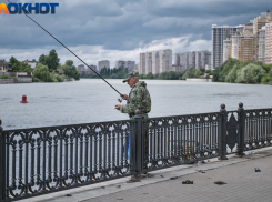 Главное в Краснодаре на утро 25 мая: ТОП-6 новостей