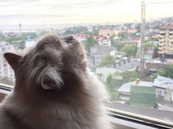 Синоптики Кубани сообщили об улучшении погоды в крае