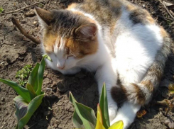 В Краснодаре с утра 19 июля тепло и солнечно