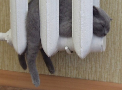 В квартиры краснодарцев пришло тепло 