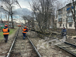 Деревья падают, трамваи стоят: Краснодар пострадал из-за разгула стихии