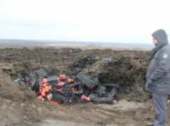 На Кубани уничтожили полторы тонны томатов черри и граната