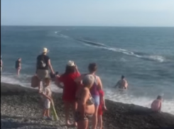  У сочинского пляжа всплыл очередной кусок трубы канализационного коллектора 