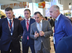  На местах стали работать лучше: количество обращений на Кубани снизилось 