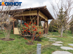 График выдачи кодов в Японский сад парка «Краснодар» будет меняться постоянно