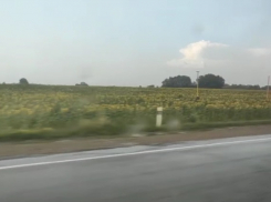 Краснодарский край сегодня накроет пыльная буря