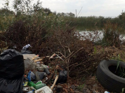 На Кубани к приезду губернатора мусор спрятали у реки