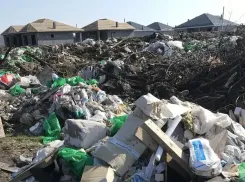 В Краснодаре Росприроднадзор ищет хозяина свалки площадью 4 гектара