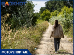 Не посетить ли нам Красный Кут: что представляет собой близкое к городу, но еще не испорченное им урочище