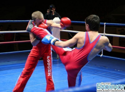 В Краснодаре состоится Чемпионат края по савату