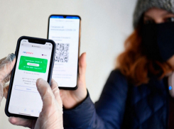 Работа мечты: на Кубани стали появляться вакансии контролеров QR-кодов