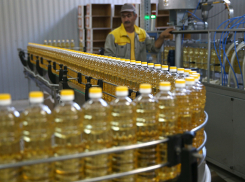 В этом году Кубань экспортировала за рубеж продукцию более чем на 2,3 млрд долларов