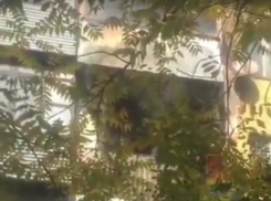  В Краснодаре из горящей многоэтажки эвакуировали жителей 