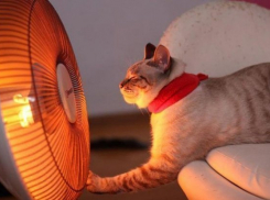  Краснодарская многоэтажка до сих пор остается без тепла 