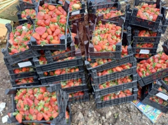 Ящики с клубникой выбросили на помойку в Краснодаре