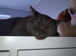  Готовьте зонтики, на Кубань идут дожди и мокрый снег 