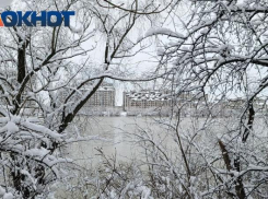 Ветрено и морозно будет в Краснодаре сегодня 