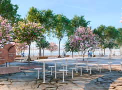 На благоустройство парка в Сочи потратят 56 млн рублей 