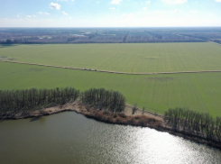 Посевная кампания в Краснодарском крае не зависит от импортных материалов