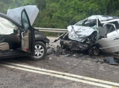 Уснувший за рулем водитель «Киа» устроил смертельное ДТП в Туапсинском районе 