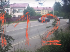 Депутат Госдумы из Краснодарского края прокомментировал ДТП со своим участием