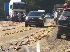  Вот это компот: тонны яблок засыпали дорогу под Горячим Ключом 