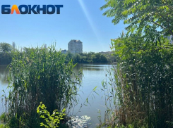 Аномальная жара в Краснодаре побила рекорд 58-летней давности