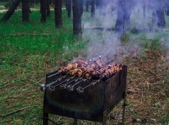  В Сочи летом запретят жарить шашлыки 