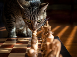 В Краснодаре синоптики обещают кратковременный дождь