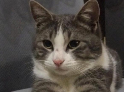 До +15 градусов прогреется воздух на Кубани 