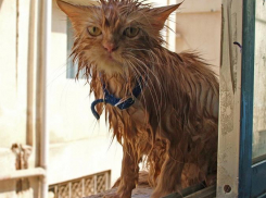 Новая порция дождей обрушится на Краснодарский край