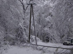 50 бригад энергетиков ликвидируют последствия нового снегопада в Сочи