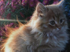 В Краснодаре будет тепло и ветрено