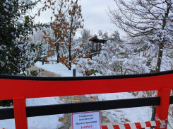 Японский сад частично перекрыли из-за непогоды 