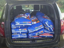 Школьник из Новороссийска потратил выигранные деньги на корм для бездомных собак