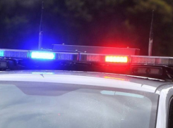 В ночных клубах Краснодара задержали более 70 человек 