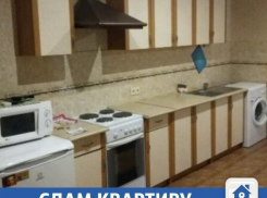 В Краснодаре сдается благоустроенная однушка