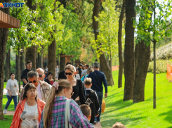 Краснодарцев ждет очередной погодный аттракцион 